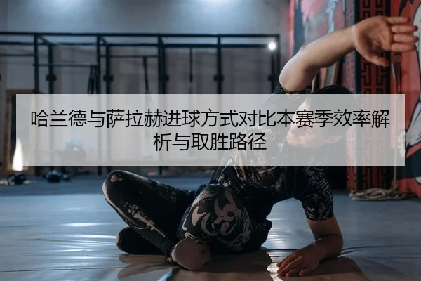 哈兰德与萨拉赫进球方式对比本赛季效率解析与取胜路径